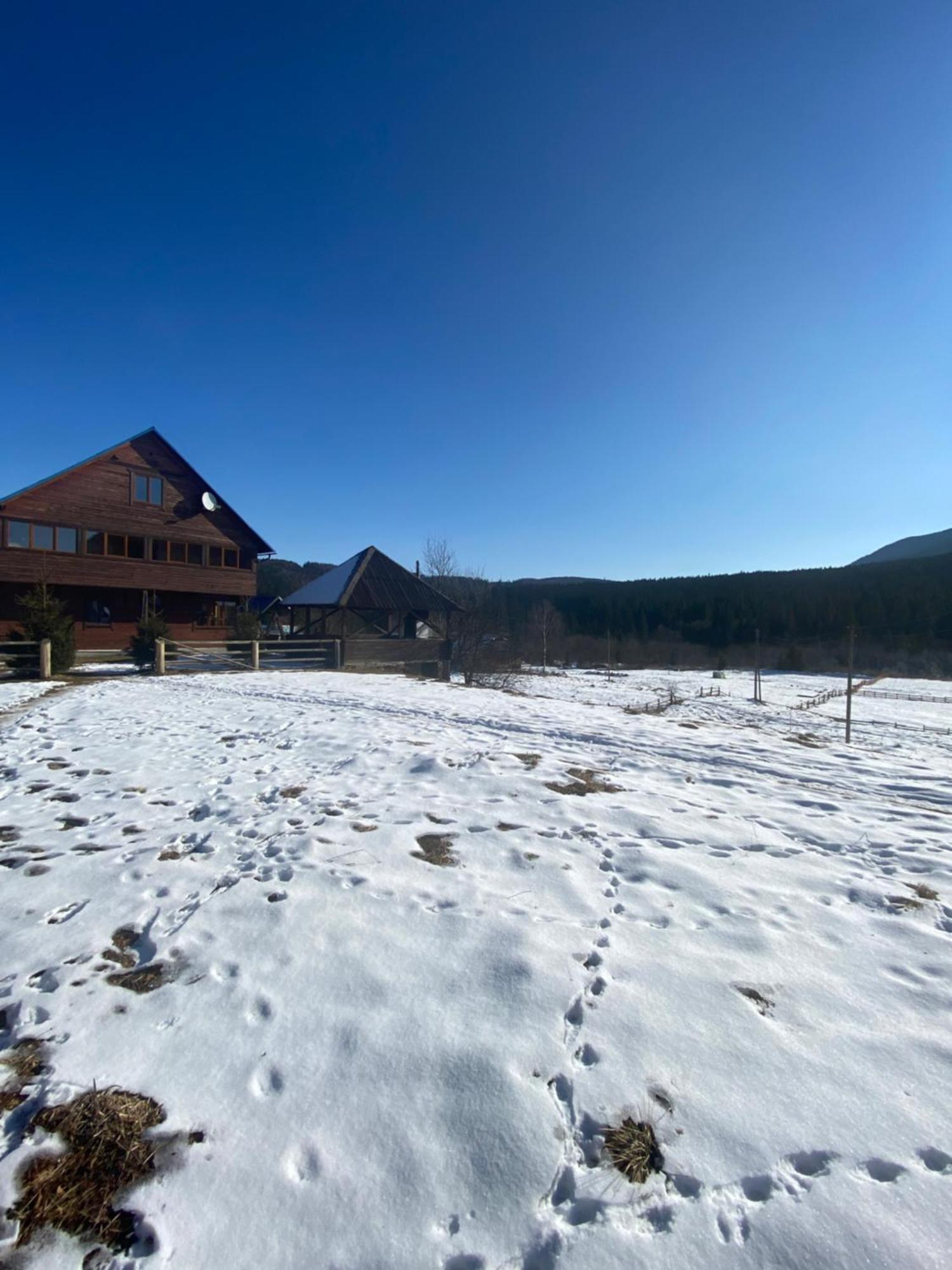 Apartamento Під Явором Vorokhta Exterior foto