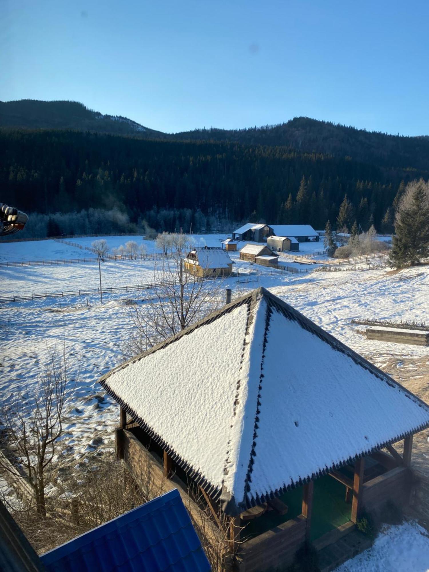 Apartamento Під Явором Vorokhta Exterior foto